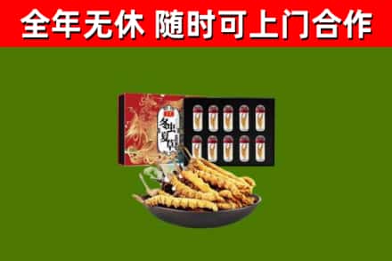 蒲市回收冬虫夏草价格